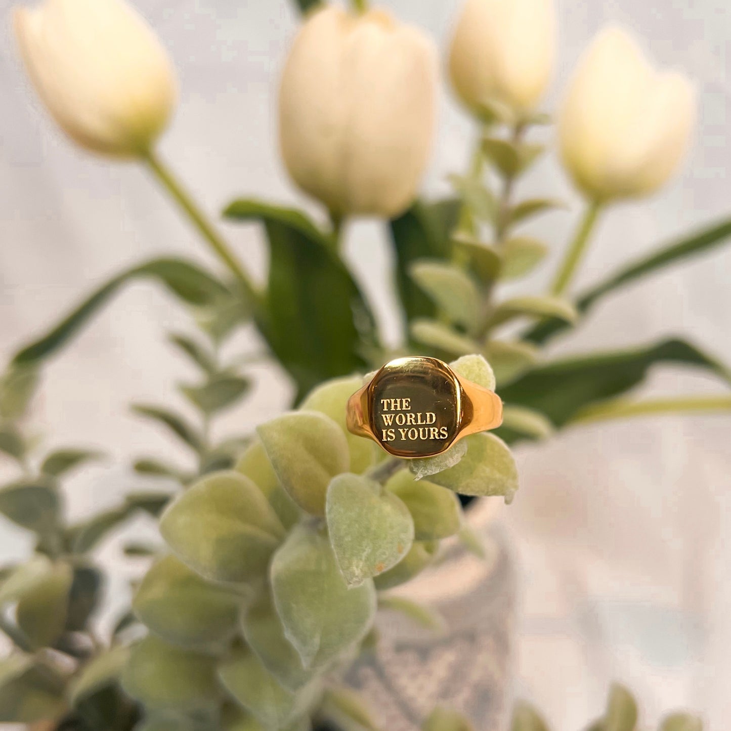 The World Is Yours Ring